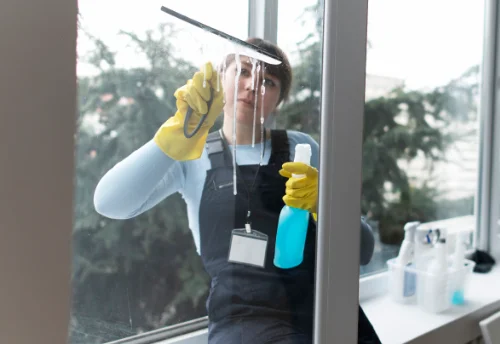 Nettoyage de vitres intérieures et extérieures à Saint-Alpinien